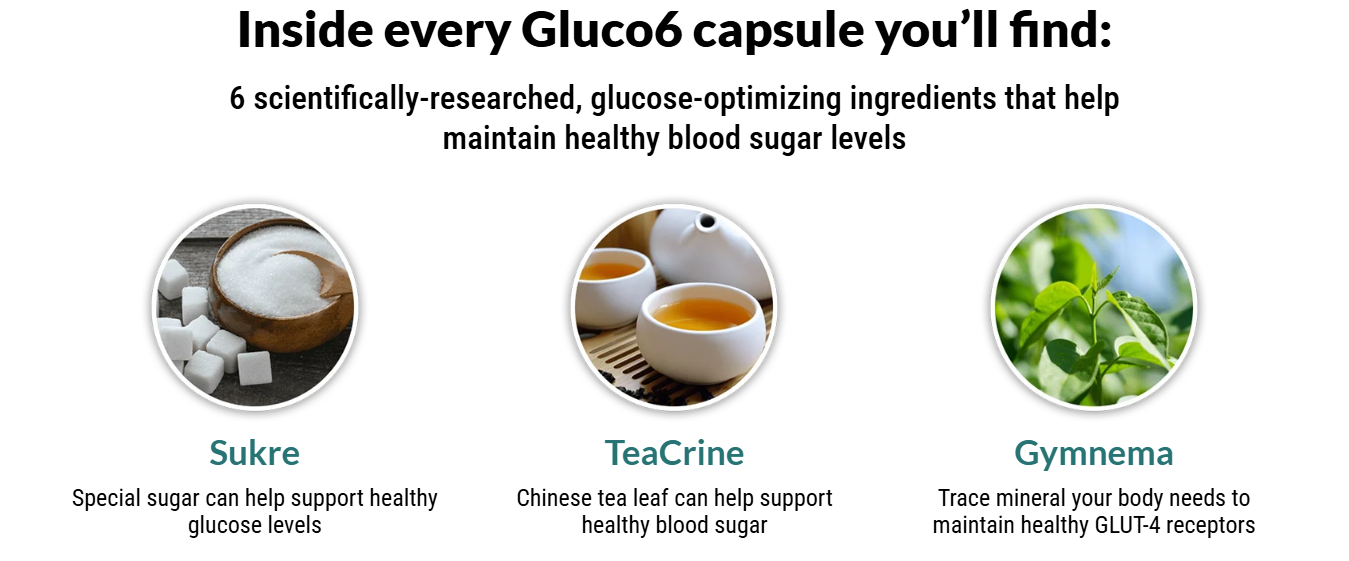 Gluco6 Review